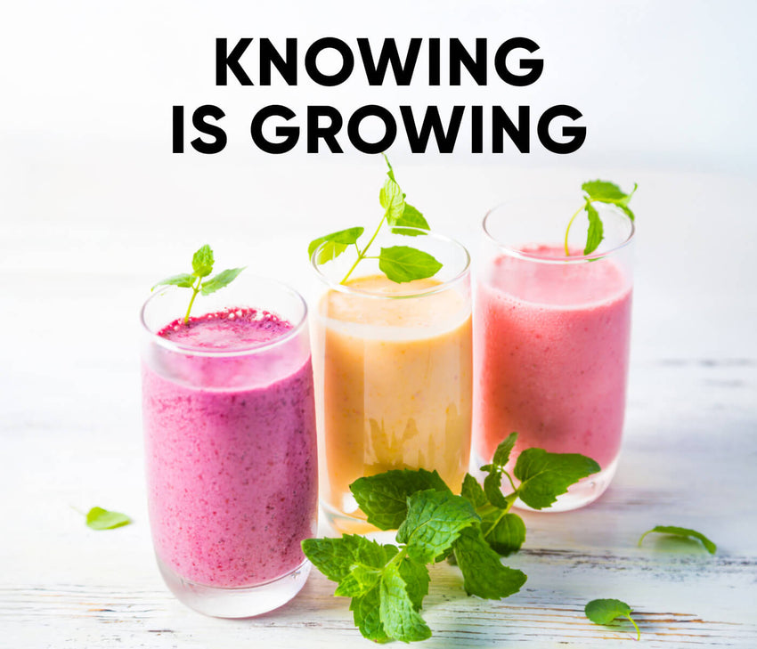 3 Healthy Smoothie Recipes to Kickstart Your New Year