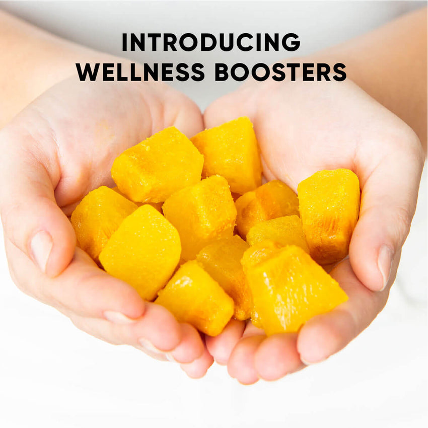 Breaking New Ground in Wellness with Ginger, Lime &amp; Turmeric Booster Cubes