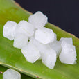 Organic Aloe Vera Bite-Sized Pieces